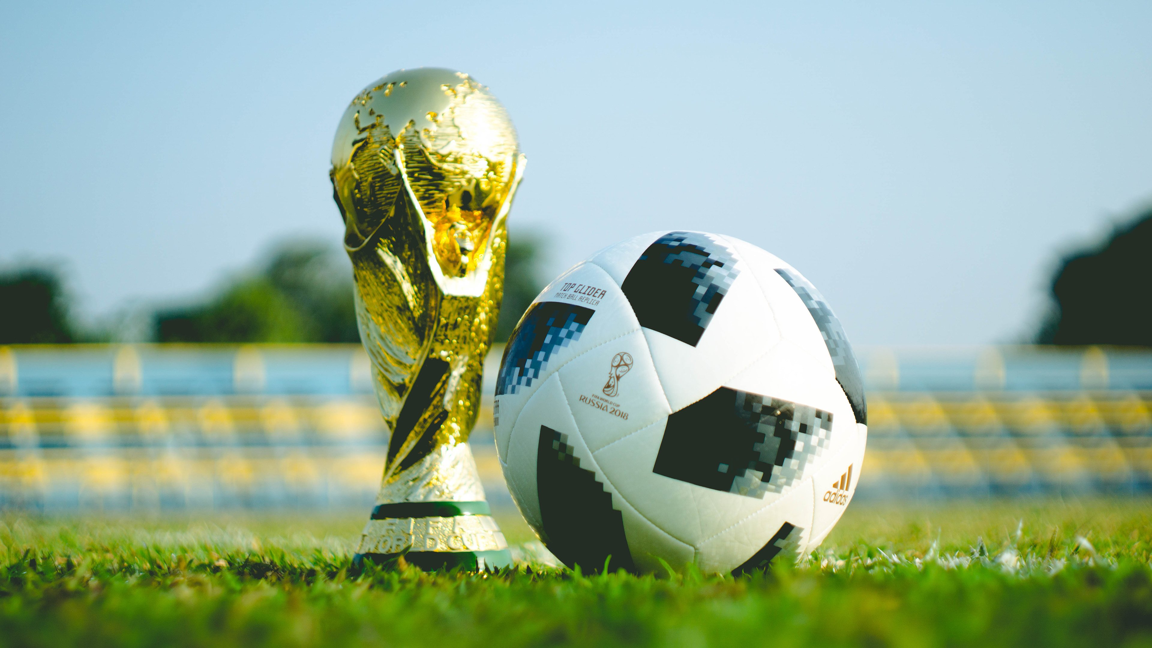 印度在2024年T20世界杯中击败南非夺冠，印度进世界杯